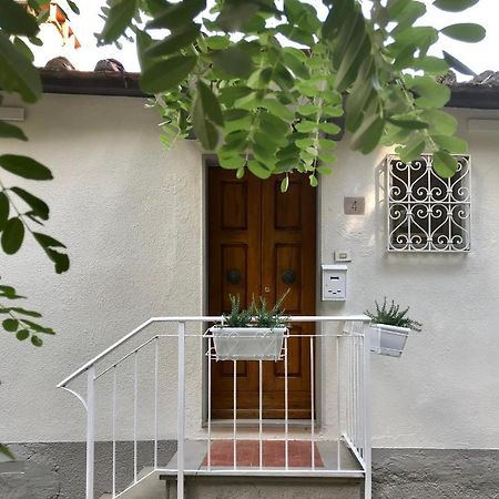 Rustico Rosmarino Villa Castiglion Fiorentino Ngoại thất bức ảnh